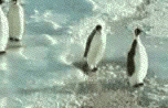 [ASK]Background Animasi Pinguin